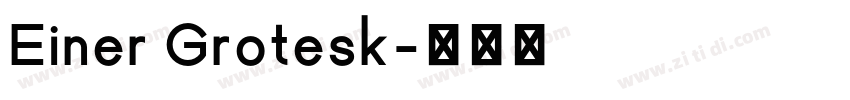 Einer Grotesk字体转换 Einer Grotesk字体转换